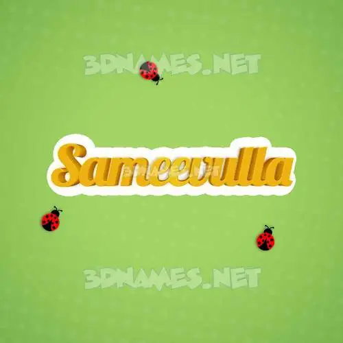 sameevulla in Ladybugs style - 3D name wallpaper