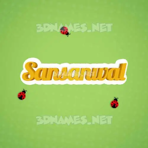 sansanwal in Ladybugs style - 3D name wallpaper sansanwal in Ladybugs style - 3D name wallpaper
