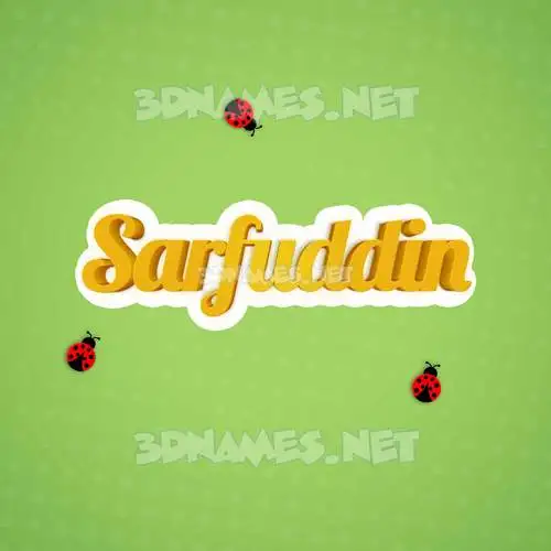 sarfuddin in Ladybugs style - 3D name wallpaper sarfuddin in Ladybugs style - 3D name wallpaper