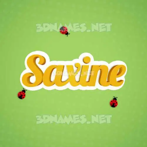 saxine in Ladybugs style - 3D name wallpaper