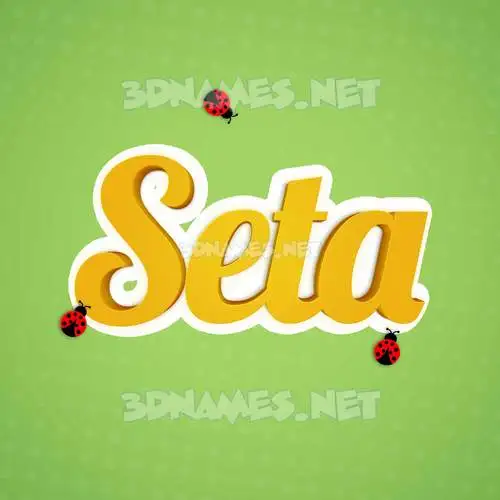 seta in Ladybugs style - 3D name wallpaper seta in Ladybugs style - 3D name wallpaper