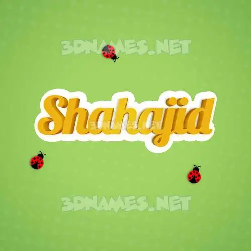 shahajid in Ladybugs style - 3D name wallpaper