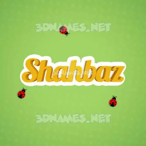 shahbaz in Ladybugs style - 3D name wallpaper shahbaz in Ladybugs style - 3D name wallpaper