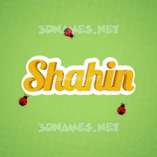 shahin in Ladybugs style - 3D name wallpaper