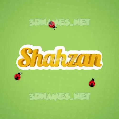 shahzan in Ladybugs style - 3D name wallpaper