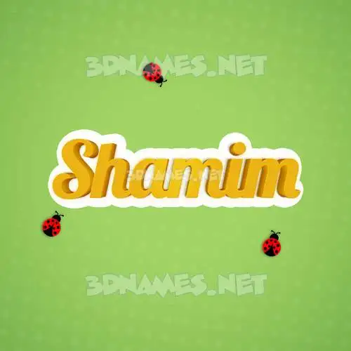 shamim in Ladybugs style - 3D name wallpaper shamim in Ladybugs style - 3D name wallpaper