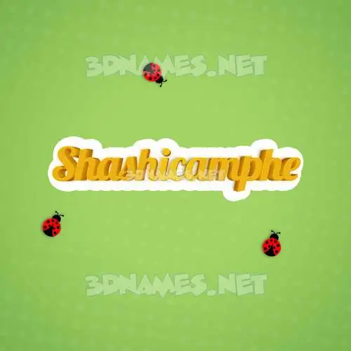 shashicamphe in Ladybugs style - 3D name wallpaper shashicamphe in Ladybugs style - 3D name wallpaper