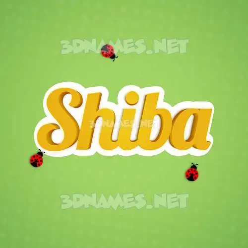 shiba in Ladybugs style - 3D name wallpaper shiba in Ladybugs style - 3D name wallpaper
