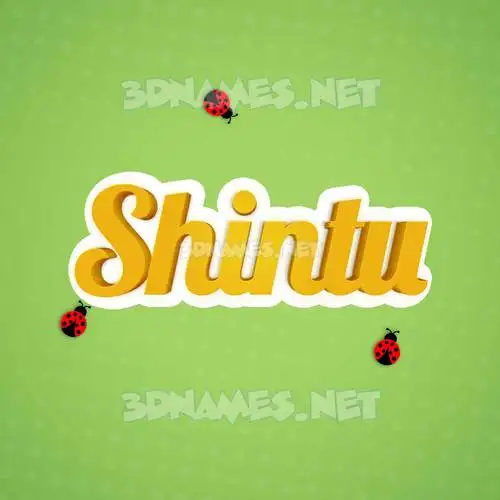 shintu in Ladybugs style - 3D name wallpaper