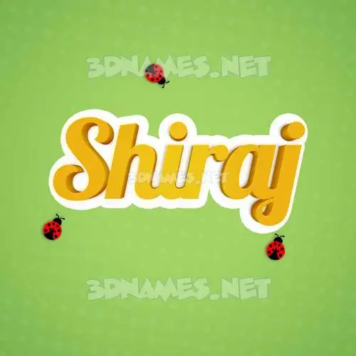 shiraj in Ladybugs style - 3D name wallpaper