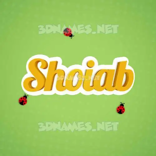 shoiab in Ladybugs style - 3D name wallpaper shoiab in Ladybugs style - 3D name wallpaper