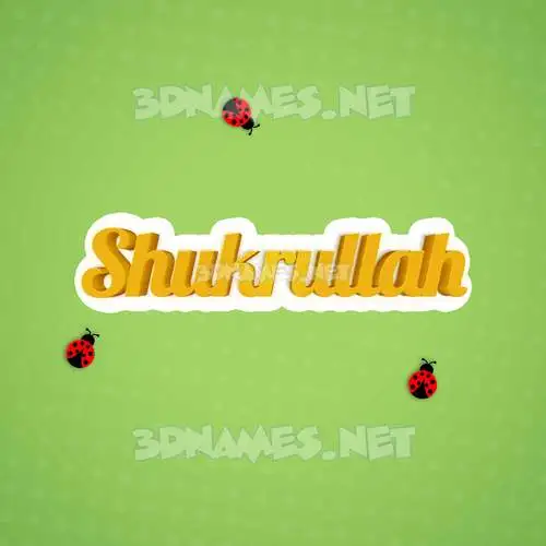 shukrullah in Ladybugs style - 3D name wallpaper shukrullah in Ladybugs style - 3D name wallpaper