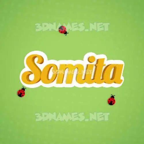 somita in Ladybugs style - 3D name wallpaper