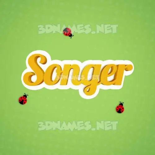songer in Ladybugs style - 3D name wallpaper