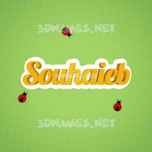 souhaieb in Ladybugs style - 3D name wallpaper