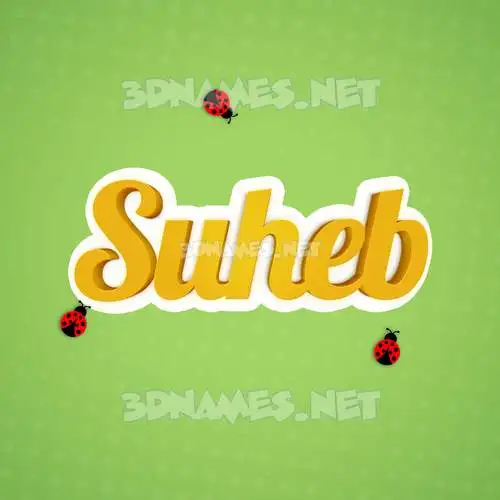 suheb in Ladybugs style - 3D name wallpaper suheb in Ladybugs style - 3D name wallpaper