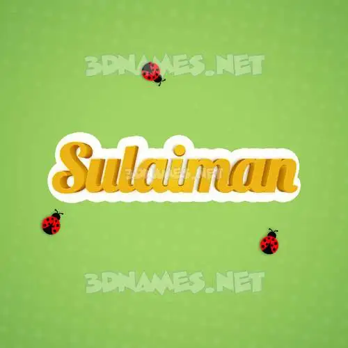 sulaiman in Ladybugs style - 3D name wallpaper