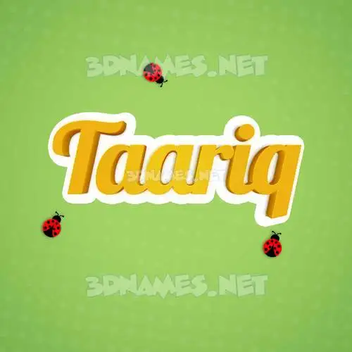 taariq in Ladybugs style - 3D name wallpaper