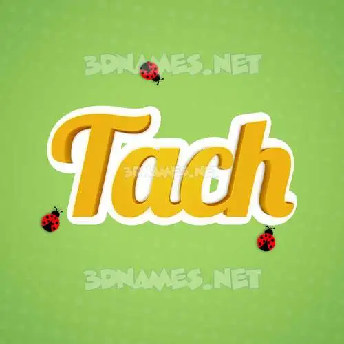 tach in Ladybugs style - 3D name wallpaper