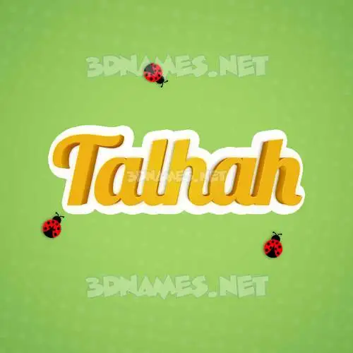 talhah in Ladybugs style - 3D name wallpaper talhah in Ladybugs style - 3D name wallpaper