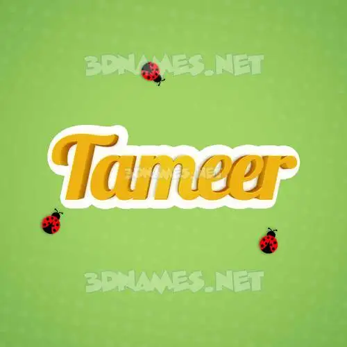 tameer in Ladybugs style - 3D name wallpaper tameer in Ladybugs style - 3D name wallpaper