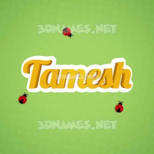 tamesh in Ladybugs style - 3D name wallpaper