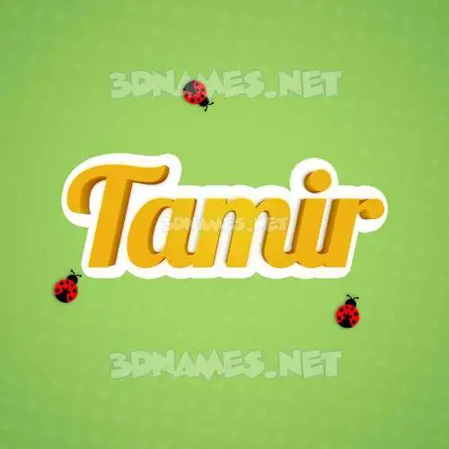 tamir in Ladybugs style - 3D name wallpaper tamir in Ladybugs style - 3D name wallpaper