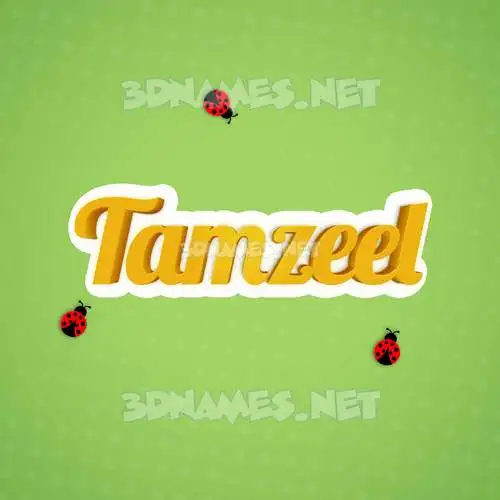 tamzeel in Ladybugs style - 3D name wallpaper tamzeel in Ladybugs style - 3D name wallpaper