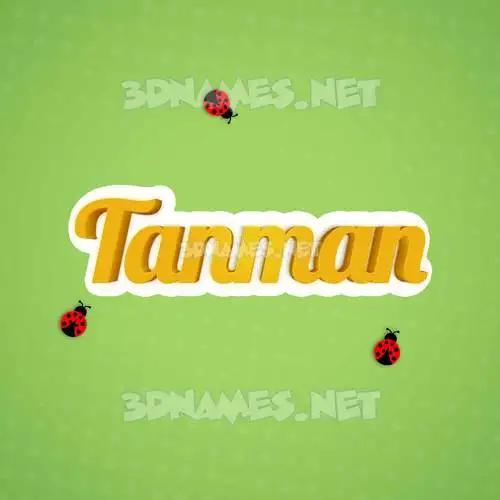 tanman in Ladybugs style - 3D name wallpaper