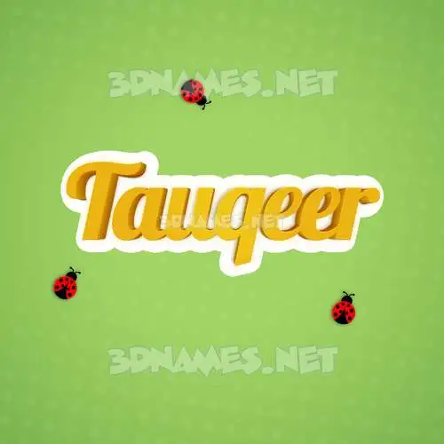 tauqeer in Ladybugs style - 3D name wallpaper
