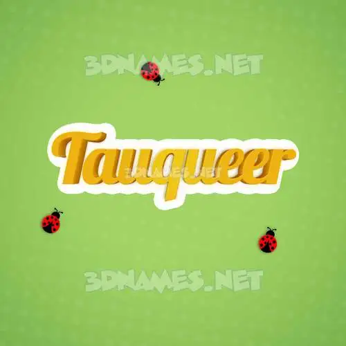 tauqueer in Ladybugs style - 3D name wallpaper tauqueer in Ladybugs style - 3D name wallpaper