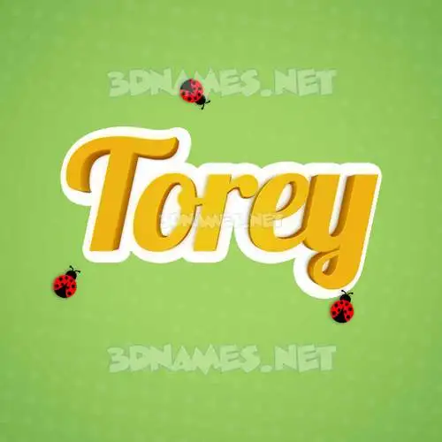 torey in Ladybugs style - 3D name wallpaper