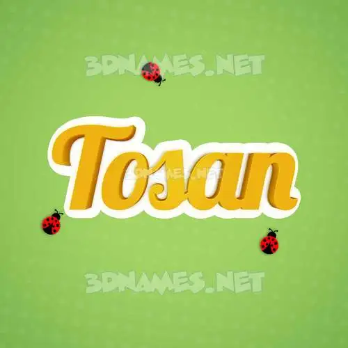 tosan in Ladybugs style - 3D name wallpaper tosan in Ladybugs style - 3D name wallpaper