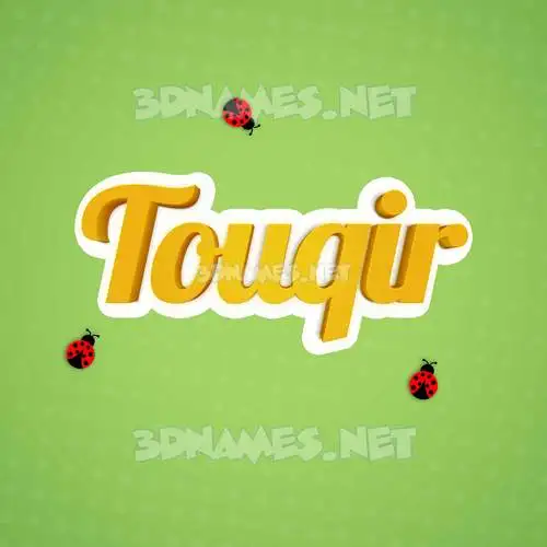 touqir in Ladybugs style - 3D name wallpaper
