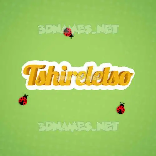 tshireletso in Ladybugs style - 3D name wallpaper