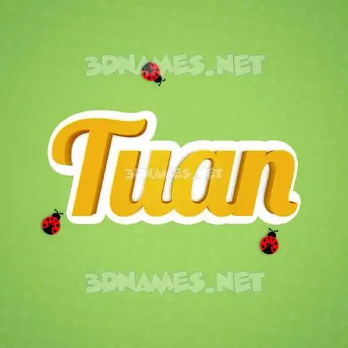 tuan in Ladybugs style - 3D name wallpaper tuan in Ladybugs style - 3D name wallpaper