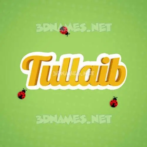 tullaib in Ladybugs style - 3D name wallpaper