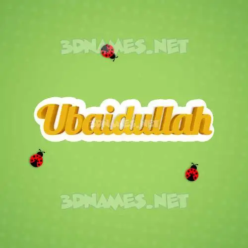 ubaidullah in Ladybugs style - 3D name wallpaper ubaidullah in Ladybugs style - 3D name wallpaper