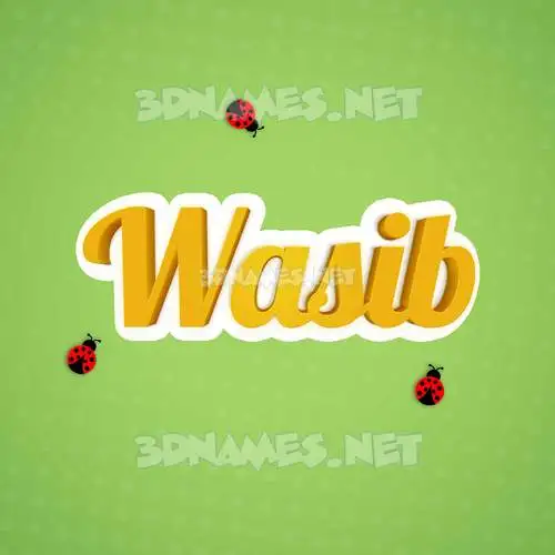 wasib in Ladybugs style - 3D name wallpaper