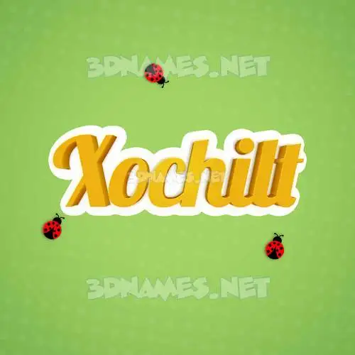 xochilt in Ladybugs style - 3D name wallpaper