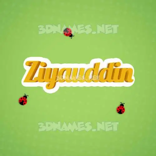 ziyauddin in Ladybugs style - 3D name wallpaper ziyauddin in Ladybugs style - 3D name wallpaper