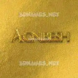 agnibesh in All Gold style - 3D name wallpaper