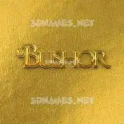 bushor in All Gold style - 3D name wallpaper
