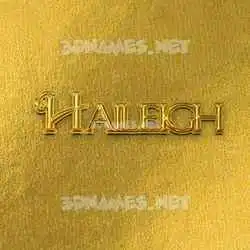 haileigh in All Gold style - 3D name wallpaper