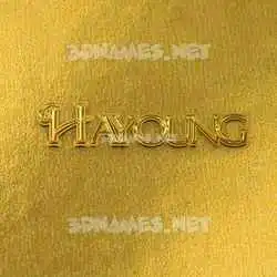 hayoung in All Gold style - 3D name wallpaper