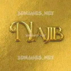 najib in All Gold style - 3D name wallpaper
