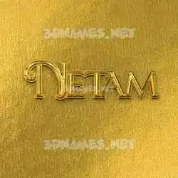 netam in All Gold style - 3D name wallpaper