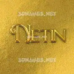 netin in All Gold style - 3D name wallpaper