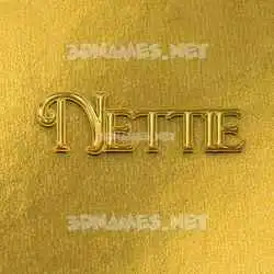 nettie in All Gold style - 3D name wallpaper