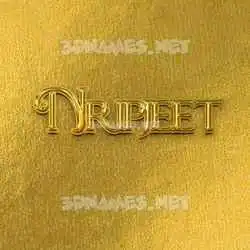 nripjeet in All Gold style - 3D name wallpaper